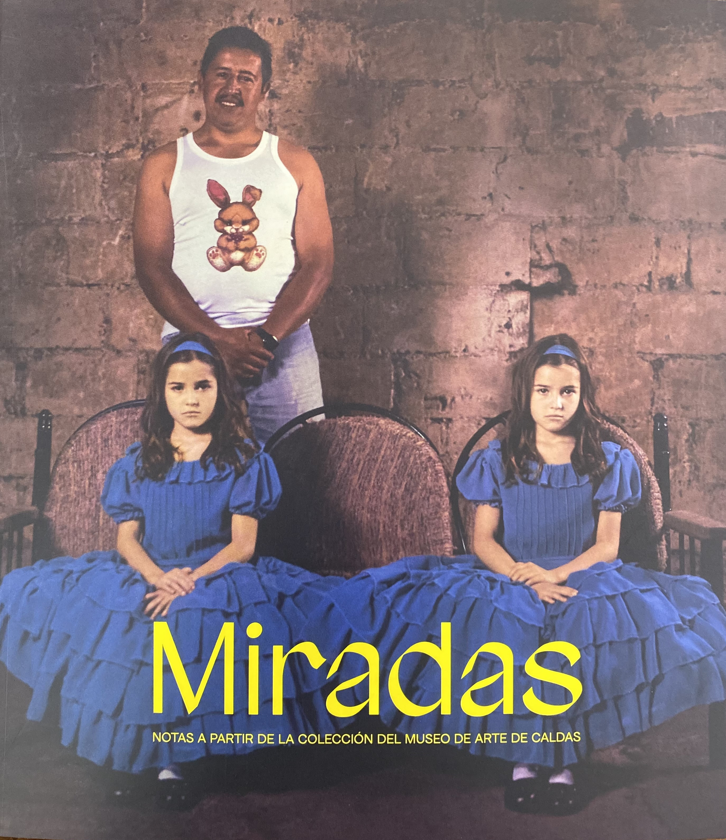 Miradas. Notas a partir de la colección del Museo de Arte de Caldas