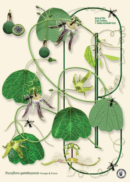 Boletín Cultural y Bibliográfico 99 Los herbarios: un patrimonio natural