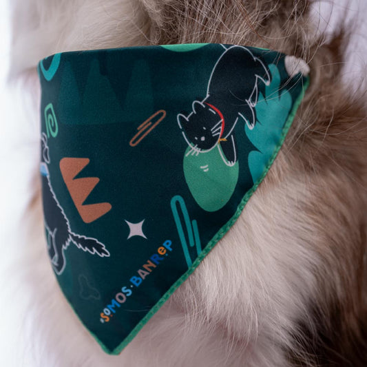 Pañoleta para mascota